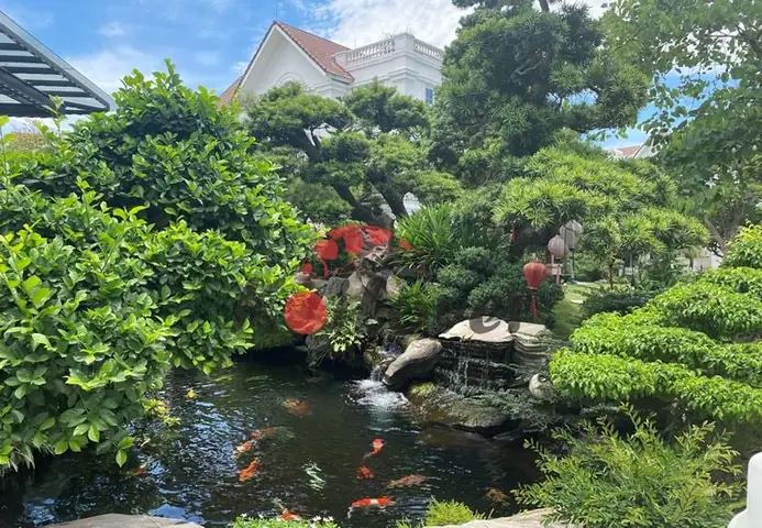 Những Lưu Ý Khi Thiết Kế Thác Nước Hồ Cá Koi Những Lưu Ý Khi Thiết Kế Thác Nước Hồ Cá Koi