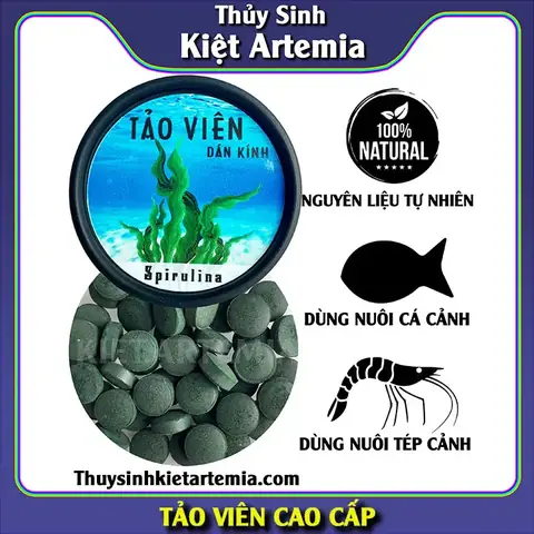 Tảo Viên Cho Cá