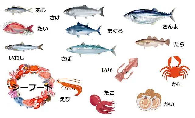 Tên Các Loại Cá Biển: Khám Phá Thế Giới Đại Dương Đa Dạng