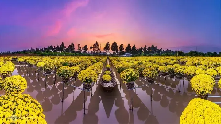 Làng Hoa Sa Đéc Độc Nhất Vô Nhị