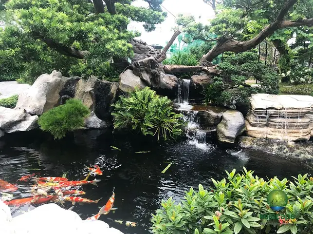 Thác Nước Hồ Cá Koi