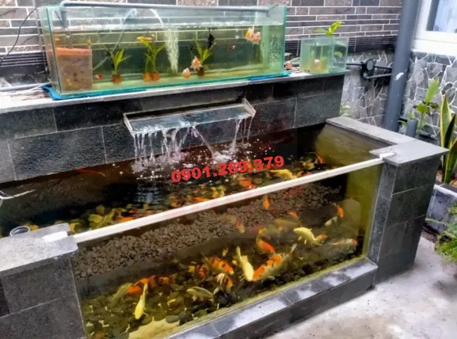 Những Lưu Ý Khi Thiết Kế Thác Nước Bể Cá Koi
