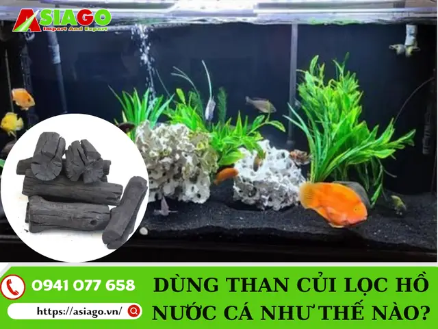 Dùng Than Củi Lọc Nước Hồ Cá Như Thế Nào?