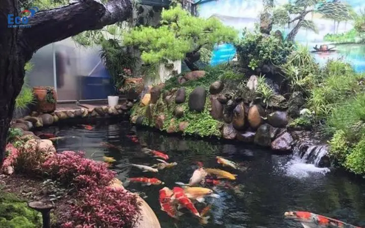 Đối Với Hồ Cá Lớn