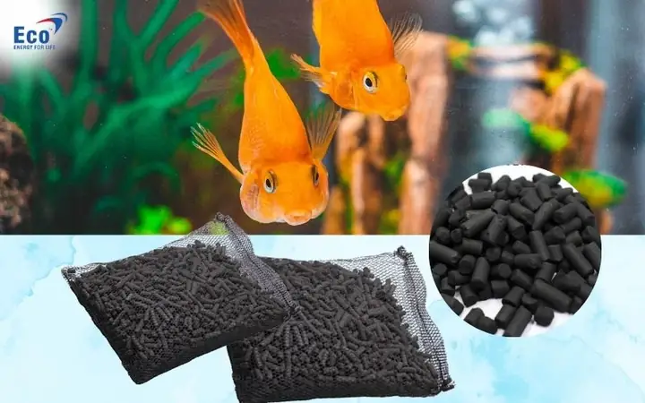 Than Hoạt Tính Bể Cá Là Gì?
