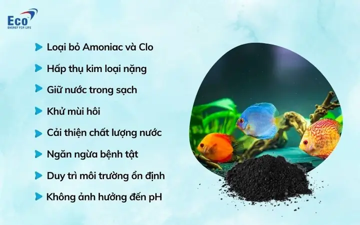 Lợi Ích Của Than Hoạt Tính Bể Cá