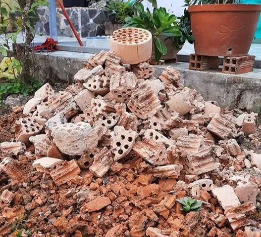 Than Tổ Ong Nuôi Cá: Bí Mật Của Vật Liệu Lọc Sinh Học Siêu Tiết Kiệm