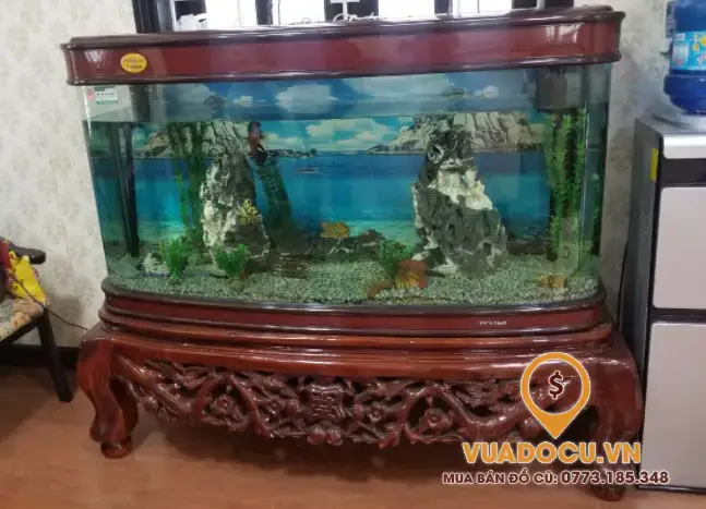 Chuẩn Bị Bể Cá Cũ Trước Khi Thanh Lý