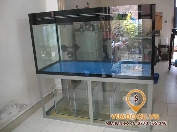 Tại Sao Nên Thanh Lý Bể Cá Cảnh Cũ?
