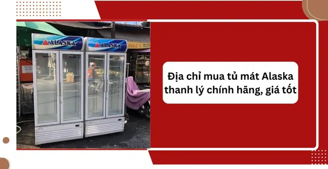 Thanh Lý Cá Rồng Tại Hà Nội: Hướng Dẫn Toàn Tập Từ A-z