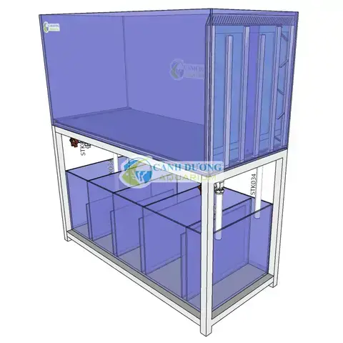 Lợi Ích Vượt Trội Khi Đầu Tư Vào Hồ Cá Công Nghệ Mới Thanh Lý