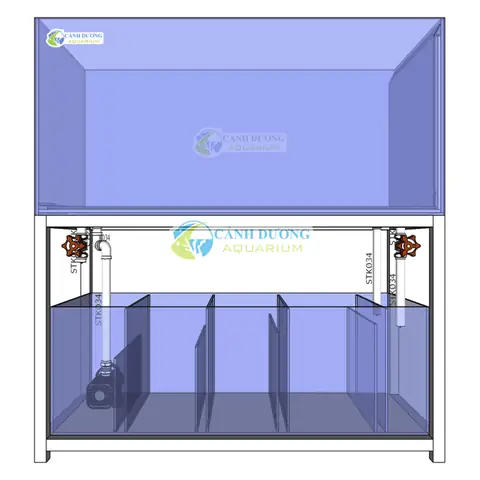 Thanh Lý Hồ Cá Công Nghệ Mới