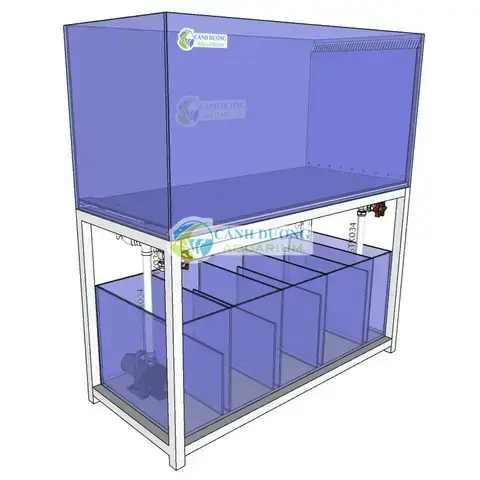 Thanh Lý Hồ Cá Công Nghệ Mới: Khái Niệm Và Sức Hút