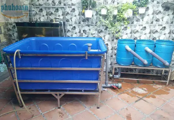 Tại Sao Nên Chọn Thùng Nhựa Nuôi Cá Thanh Lý?