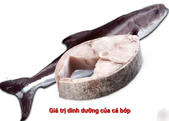 Giá Trị Dinh Dưỡng Của Cá Bớp Giá Trị Dinh Dưỡng Của Cá Bớp