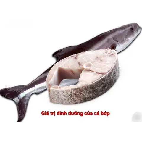 Giá Trị Dinh Dưỡng Của Cá Bớp