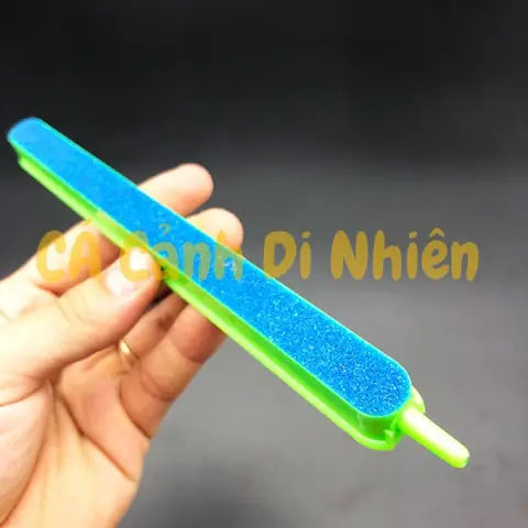 Thanh Sủi Khí Cho Bể Cá: Hướng Dẫn Toàn Tập Từ A-z
