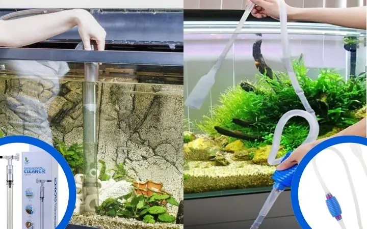 Vệ Sinh Các Phụ Kiện Trang Trí Và Hút Cặn Bẩn Đọng Ở Đáy Bể: