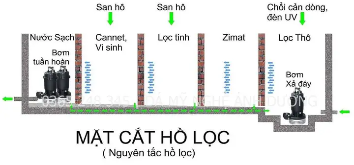 Cách Chọn Lọc Phù Hợp