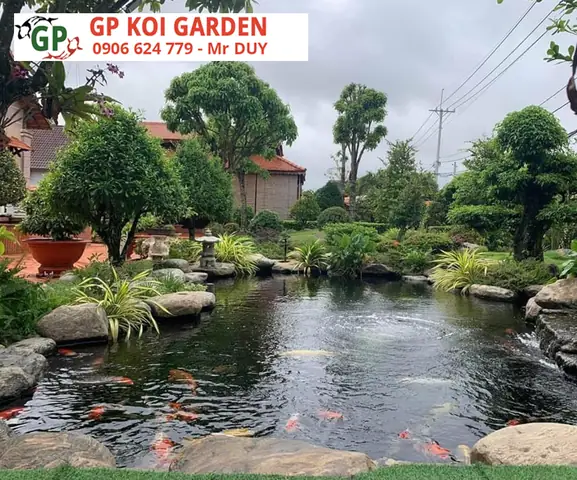 Những Kiểu Dáng Của Hồ Cá Koi
