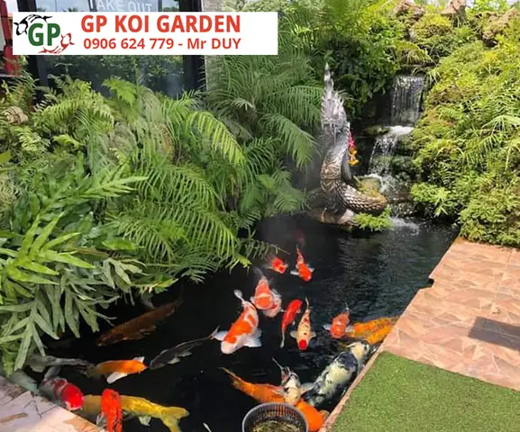 Những Kiểu Dáng Của Hồ Cá Koi