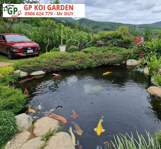Những Kiểu Dáng Của Hồ Cá Koi