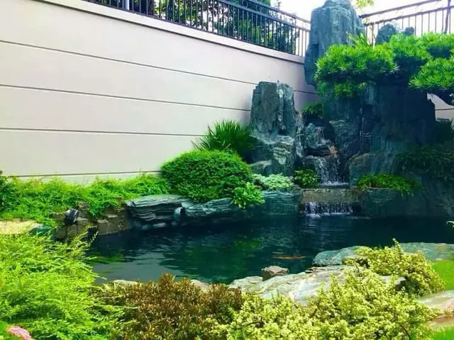 Những Kiểu Dáng Của Hồ Cá Koi