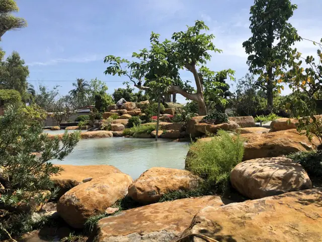 Những Kiểu Dáng Của Hồ Cá Koi