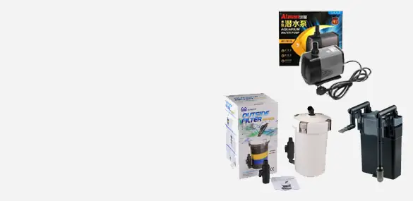 Hướng Dẫn Toàn Tập: Cách Xử Lý Tảo Tóc, Tảo Đỏ Và Tảo Lam Trong Bể Cá Biển