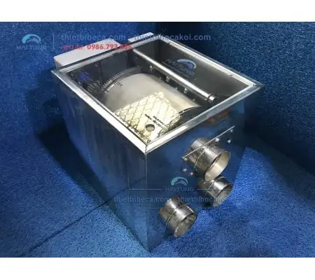 Hướng Dẫn Toàn Tập: Cách Xử Lý Tảo Tóc, Tảo Đỏ Và Tảo Lam Trong Bể Cá Biển