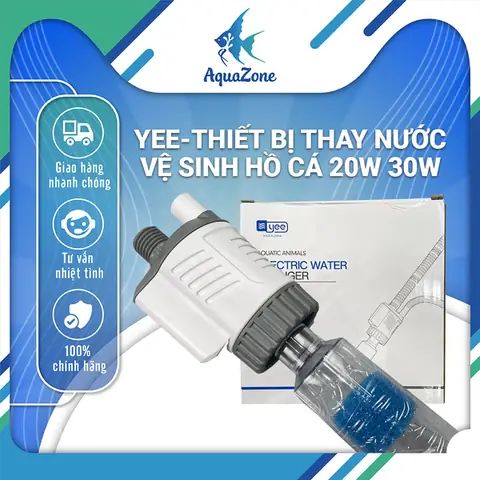 Hướng Dẫn Toàn Tập: Cách Xử Lý Tảo Tóc, Tảo Đỏ Và Tảo Lam Trong Bể Cá Biển