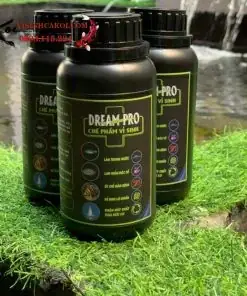 Sinh Dream Pro - Làm Trong Nước Hồ Koi