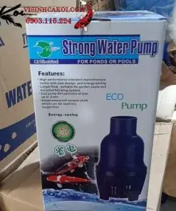 Máy Bơm Strong Water Rs 16000 - 22500 - 25000 - 36000 - 40000 - 46000 - 56000 Bơm Tạt Hồ Koi