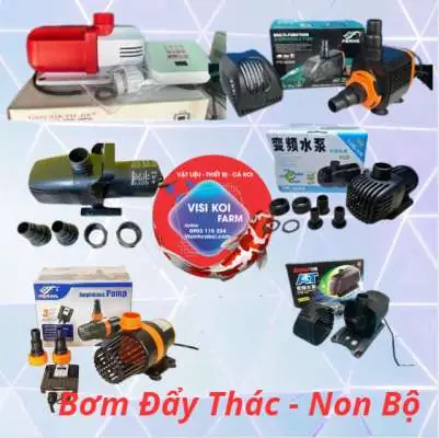 / Thiết Bị Bơm Hồ Cá Koi