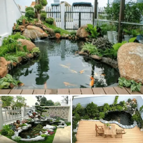 Bể Cá Cảnh Ngoài Trời
