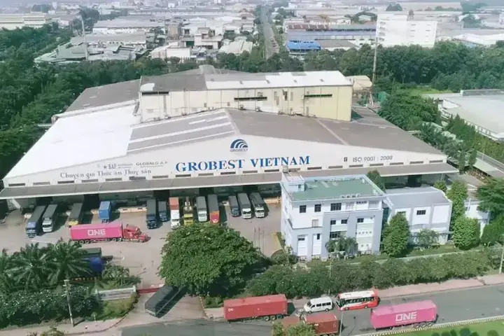 Đặc Điểm Nổi Bật Của Thức Ăn Cá Lóc Công Nghiệp Cargill