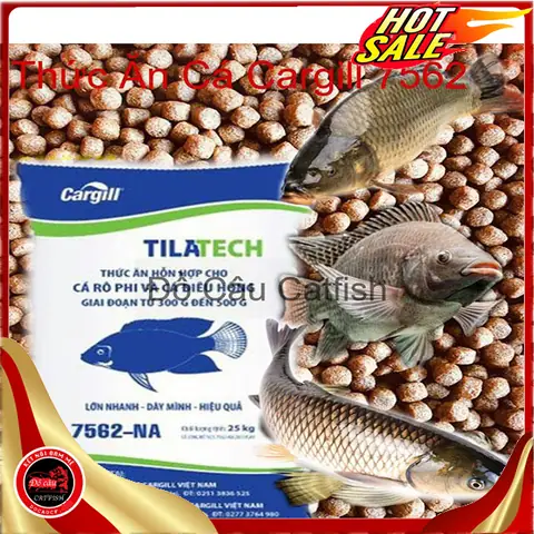 Thức Ăn Cá Rô Phi: Hướng Dẫn Toàn Tập Từ Chuyên Gia