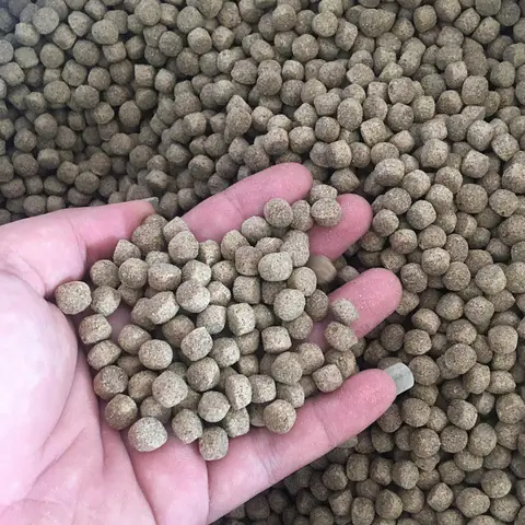 Thức Ăn Cá Tra: Cẩm Nang Dinh Dưỡng Toàn Tập Từ Chuyên Gia Thức Ăn Cá Tra: Cẩm Nang Dinh Dưỡng Toàn Tập Từ Chuyên Gia
