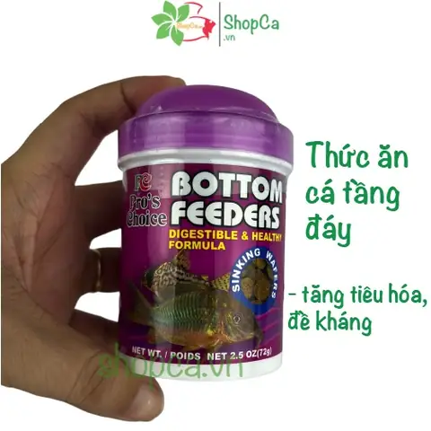 Thức Ăn Chìm Cho Cá: Cẩm Nang Toàn Tập Từ A-z