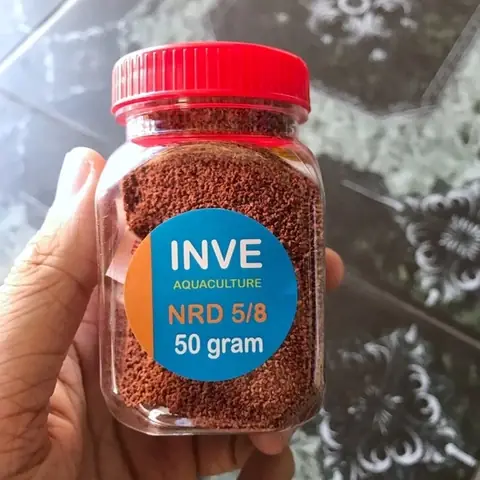 Cám Thái Inve