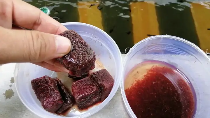 Trùn Huyết