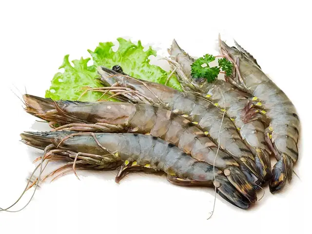 Trùn Huyết