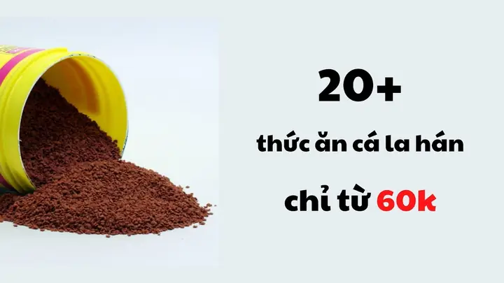 Thức Ăn Lên Đầu Cho Cá Lá Hán Okiko Quick Head Up Platinum