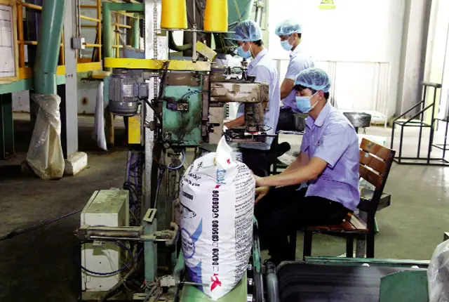 Thức Ăn Cá Lóc Up: Mang Thành Công Đến Cho Người Nuôi