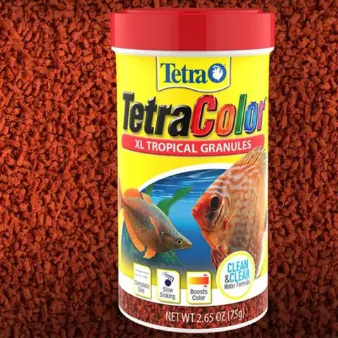 Hướng Dẫn Chọn Và Sử Dụng Thức Ăn Cho Cá Tetra Color Đúng Cách