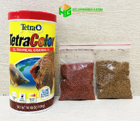 Hướng Dẫn Chọn Và Sử Dụng Thức Ăn Cho Cá Tetra Color Đúng Cách