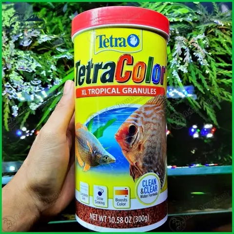 Hướng Dẫn Chọn Và Sử Dụng Thức Ăn Cho Cá Tetra Color Đúng Cách