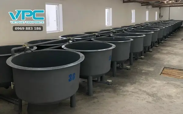 Hướng Dẫn Chi Tiết Về Thùng Ép Cá Betta: Cách Sử Dụng Và Lưu Ý An Toàn