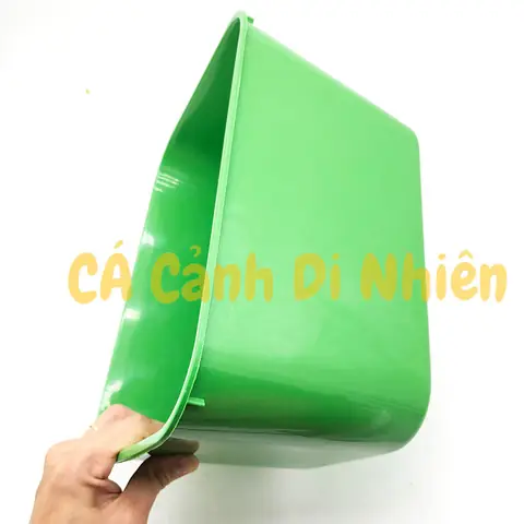 Khay Nhựa 7 Lít Nuôi Cá Ép Cá Con - Thùng Nhựa Trồng Rau 30x22x16cm