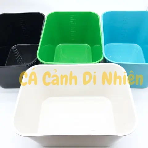 Khay Nhựa 7 Lít Nuôi Cá Ép Cá Con - Thùng Nhựa Trồng Rau 30x22x16cm